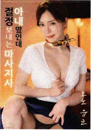 候鸟旅馆 电影封面